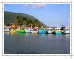 Bateaux dans le port de Beauséjour à la Désirade