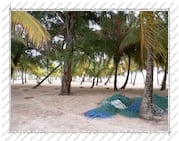 filets de pêche sur une plage de l'Île de la Désirade (Guadeloupe)