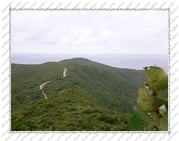 Chemin du Latanier, au fond, les côtes de Guadeloupe - Île de la Désirade (Guadeloupe)