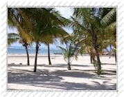 plage, Île de la Désirade (Guadeloupe)