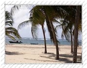 plage et barques sur l'Île de la Désirade (Guadeloupe)