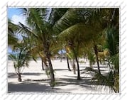 plage sur l'Île de la Désirade (Guadeloupe)