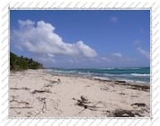 plage déserte  sur l'Île de la Désirade (Guadeloupe)