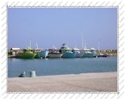 bateaux de pêche dans le port - île de la Désirade (Guadeloupe)