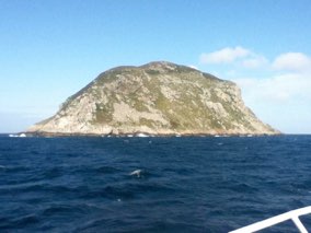 Miquelon