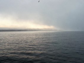Gaspésie