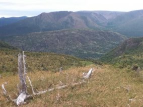 Gaspésie