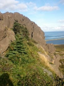Miquelon