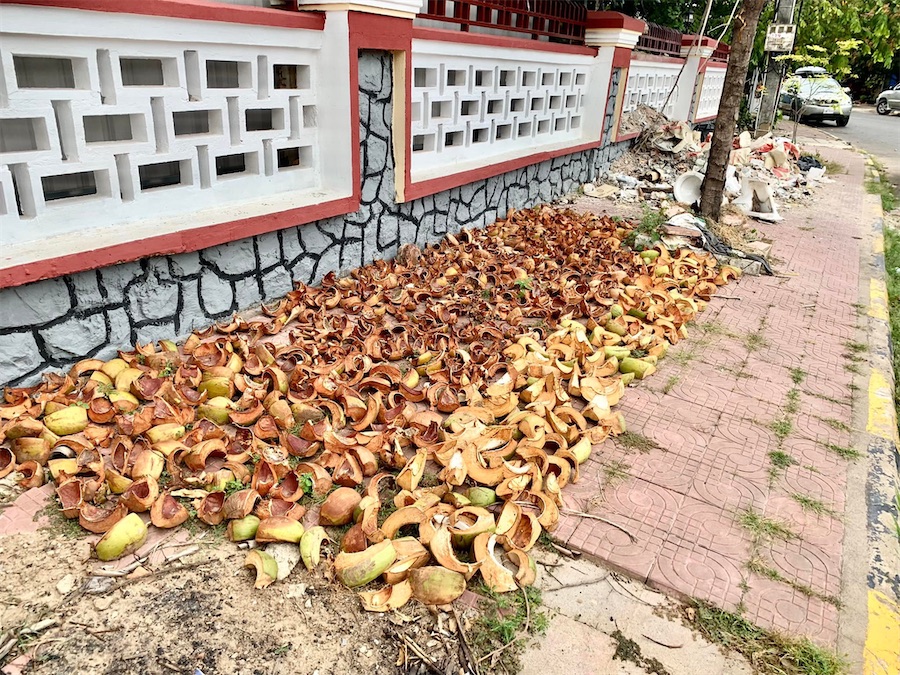 coques de noix de coco séchant sur le trottoir, à Kampot