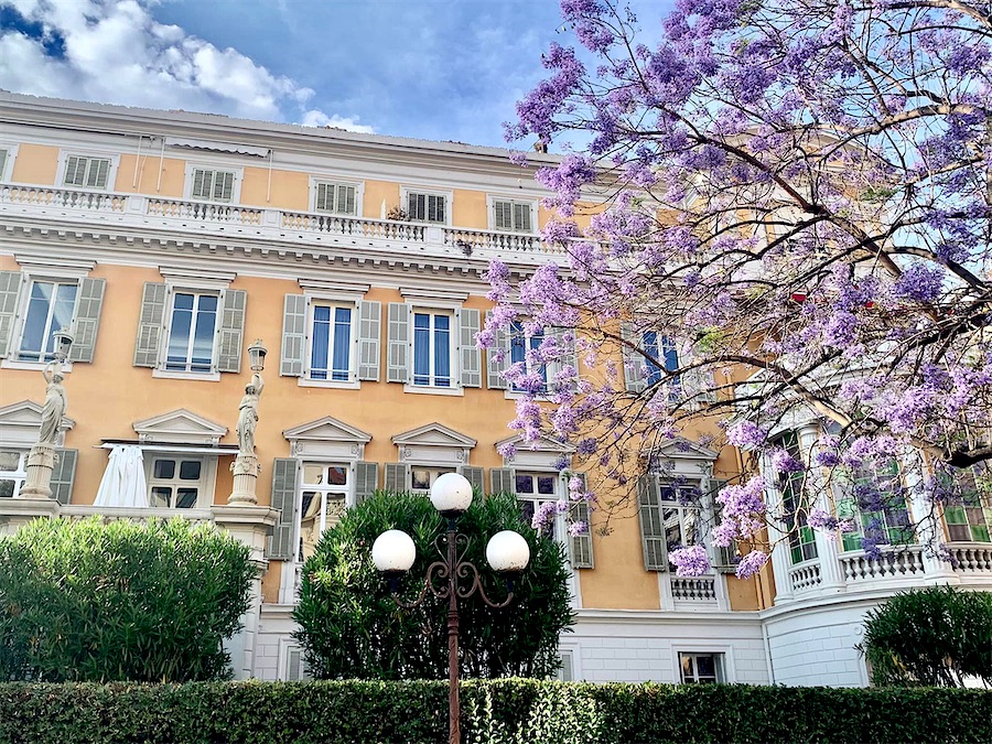 au fond, bâtiment à façade jaune clair, encadrement des fenêtres gris clair, volets à persiennes. sur la droite, arbre sans feuilles, mais abondemment fleuri en bleu tirant sur le mauve.