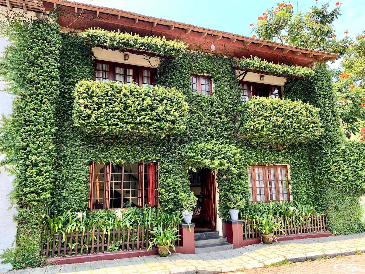 Fort Cochin, maison recouverte de végétation