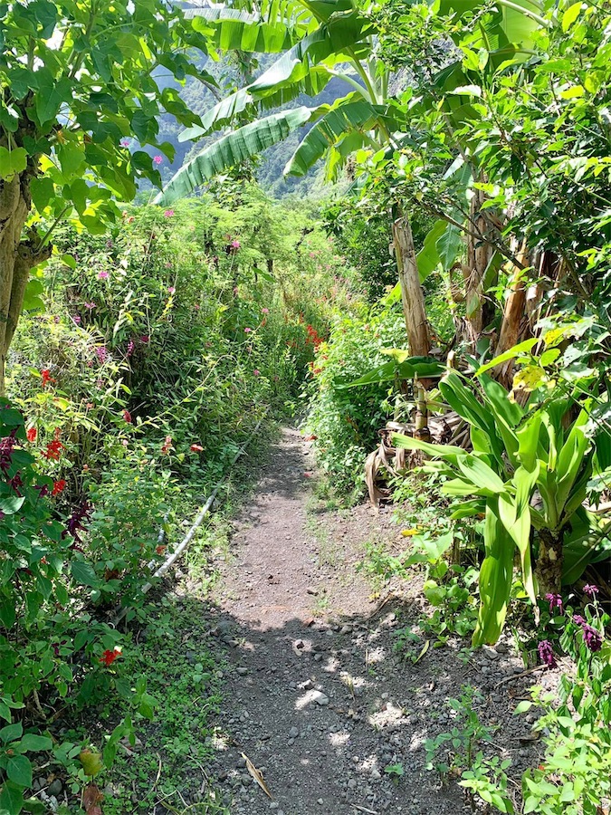 Arrivée à Cayenne, La Réunion