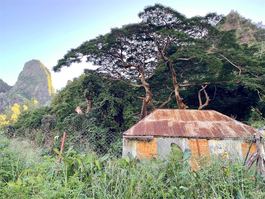 Départ de Cayenne, La Réunion