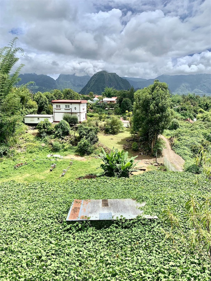 La Réunion, cultures de christophines