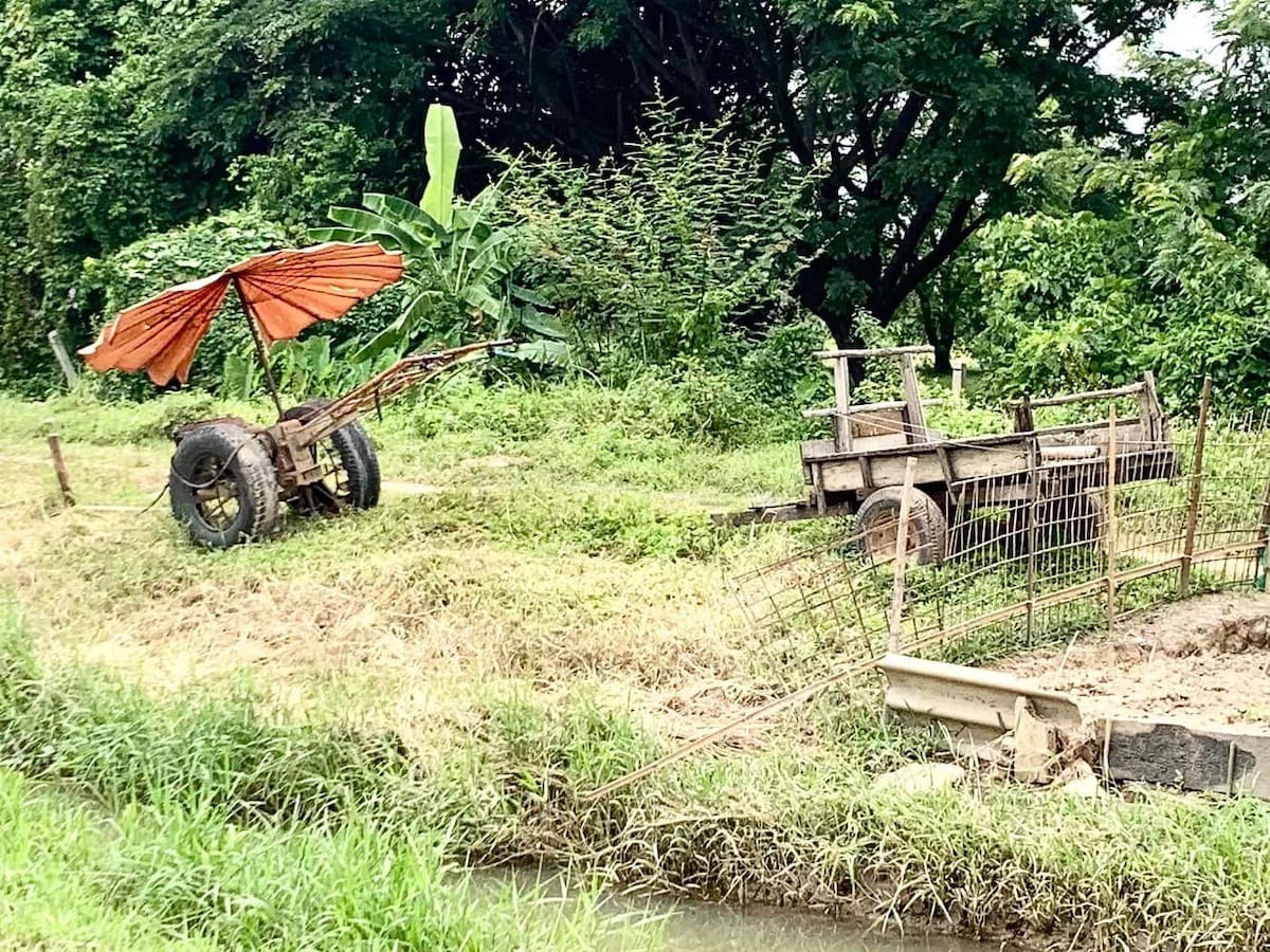 matériel agricole dans les rizières en Thaïlande