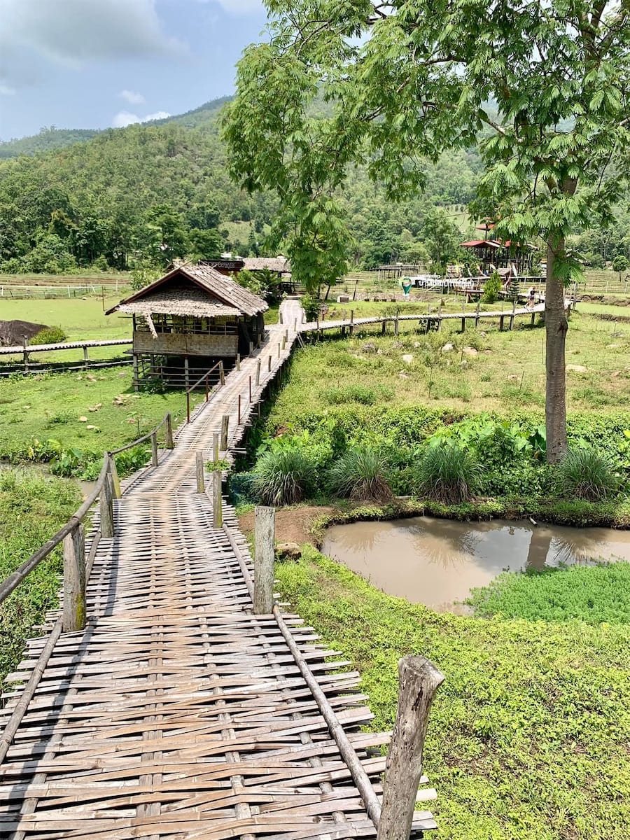 Pont en bambou - Pai 