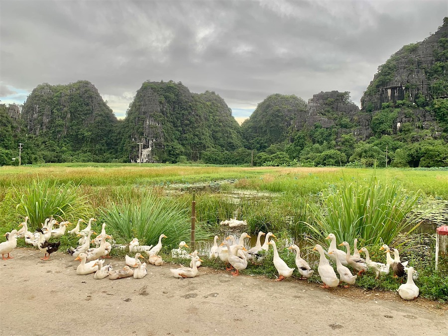 Tam Coc