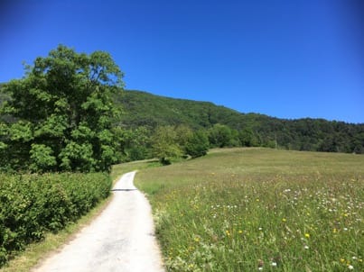 Chemin de Saint-Jacques