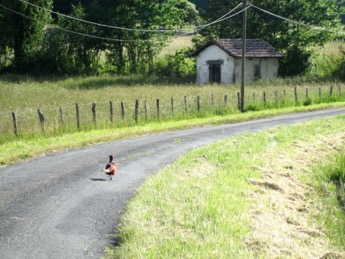 Dordogne