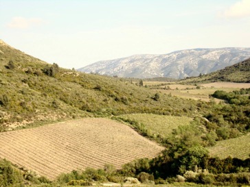 Corbières