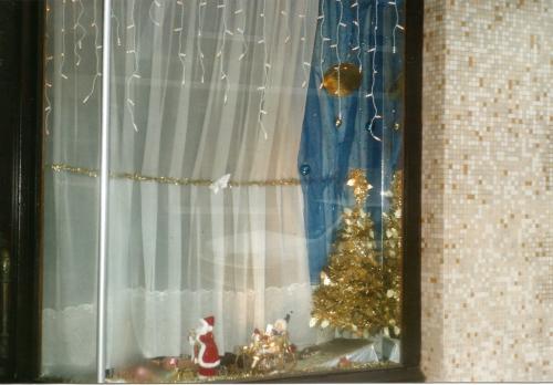 Vitrine de Noël